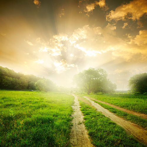 Fotobehang Mystic Sunset