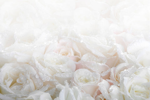 Rozen