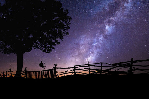 Universum