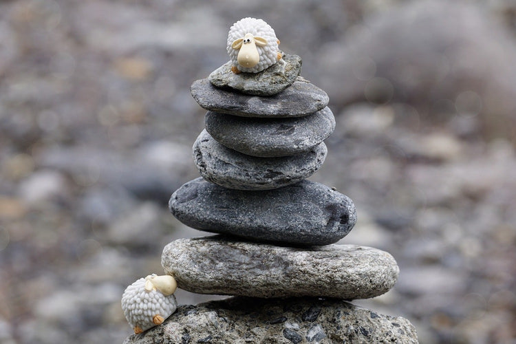 Fotobehang Stone pile sheep