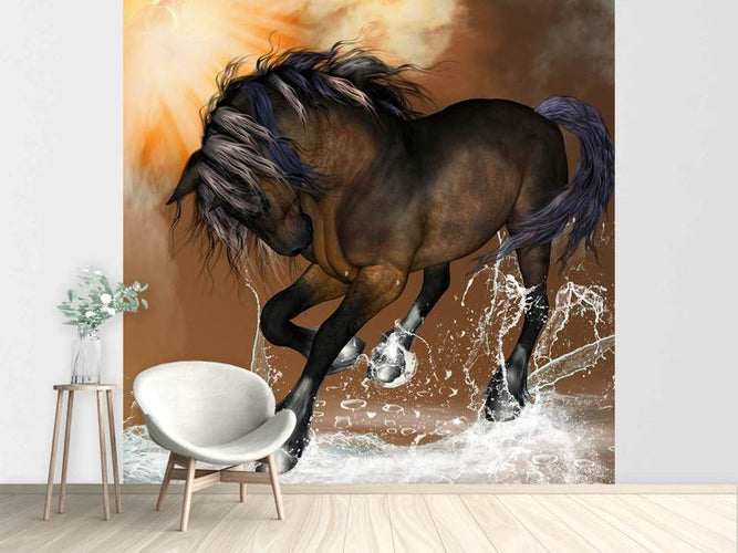Fotobehang Black Beauty, paard
