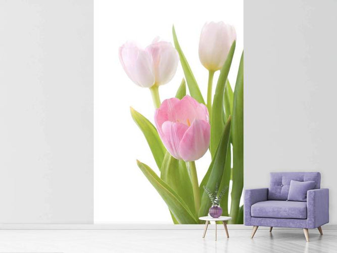 Fotobehang Tulpen trio