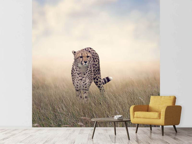 Fotobehang Cheetah