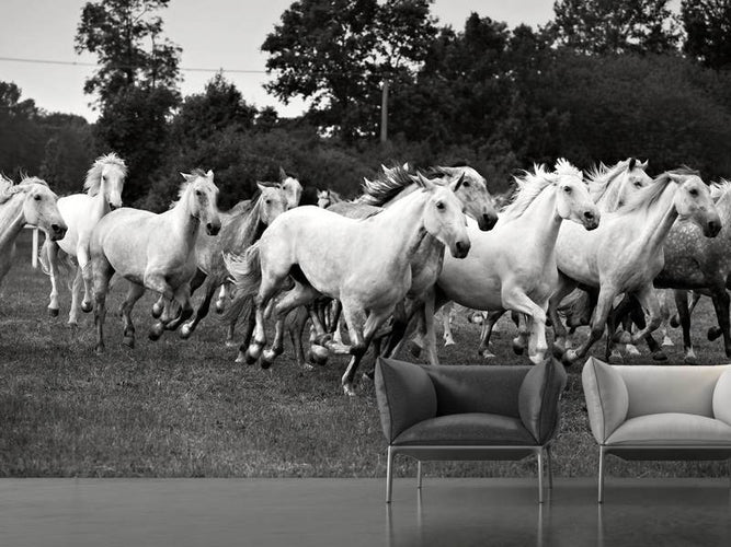 Fotobehang Kudde Mustangs, Paarden