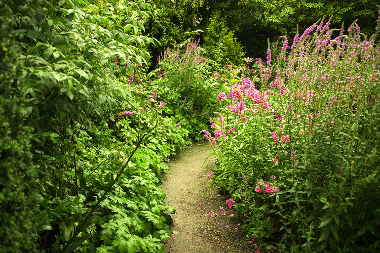 Fotobehang Garden Path