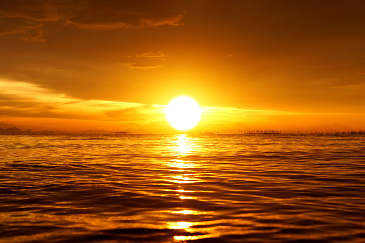Fotobehang Glowing Sunset On The Water