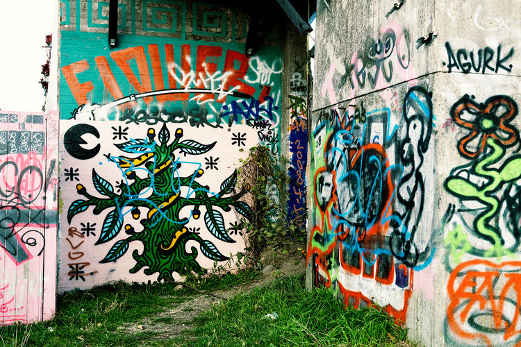 Fotobehang Graffiti In The Backyard