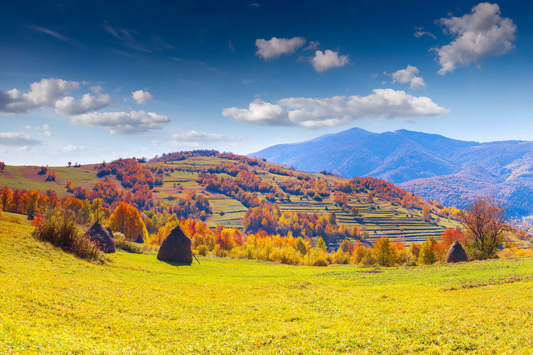 Fotobehang Autumnal Mountain Landscape