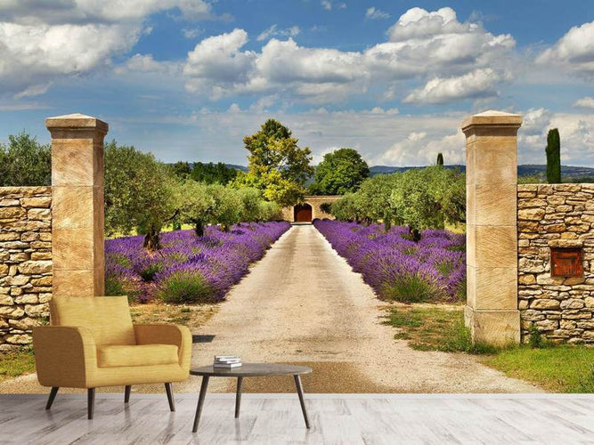 Fotobehang Lavendel Tuin