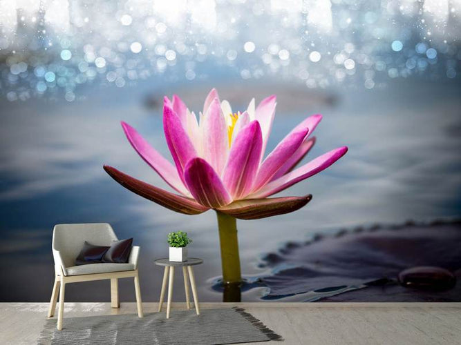 Fotobehang Lotus Bloem in de ochtend dauw