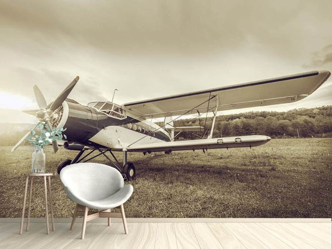 Fotobehang Nostalgisch vliegtuig in Retro stijl, Sepia