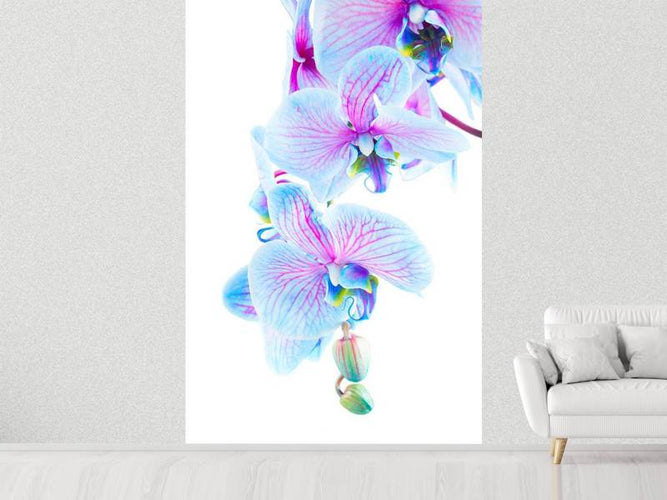 Fotobehang Orchidee