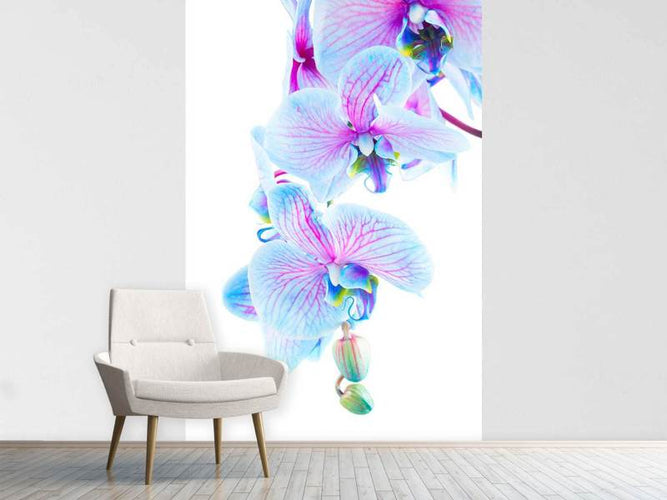 Fotobehang Orchidee