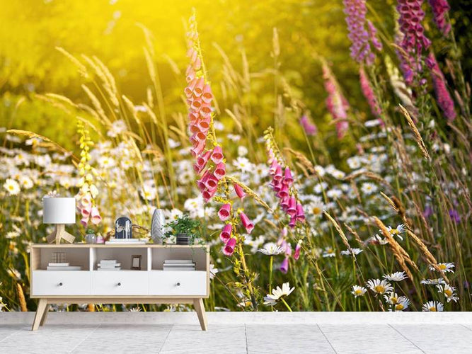 Fotobehang Zomer Bloemen Weide