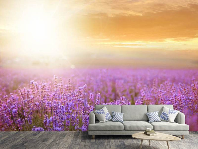 Fotobehang Zonsopkomst boven het Lavendelveld