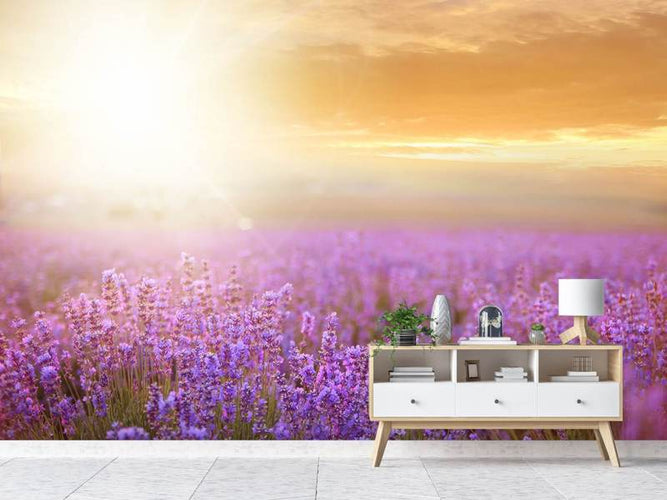 Fotobehang Zonsopkomst boven het Lavendelveld