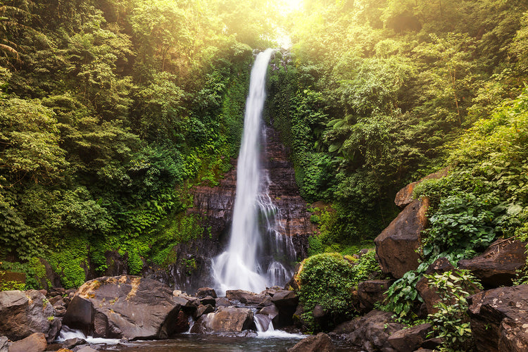 Fotobehang Waterfall Bali