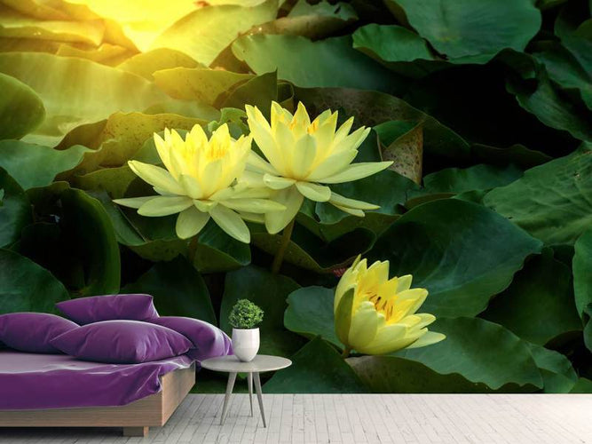 Fotobehang Wilde Lotus