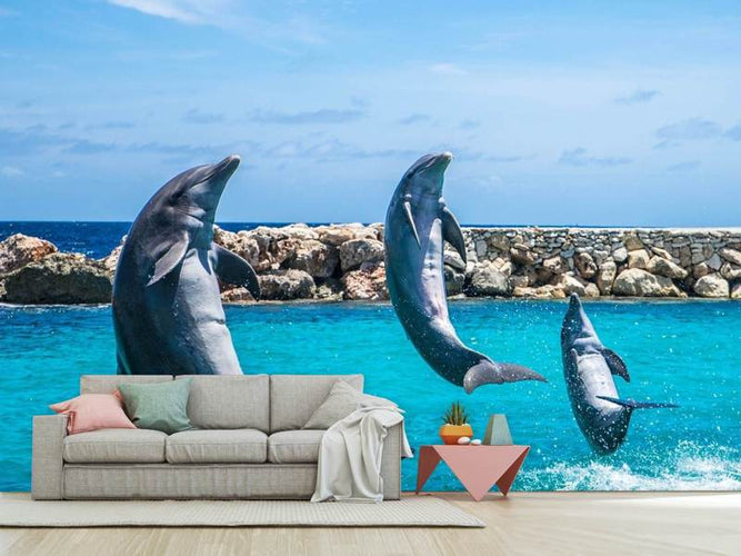 Fotobehang 3 dolfijnen