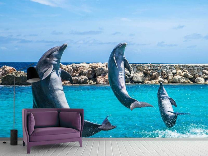 Fotobehang 3 dolfijnen