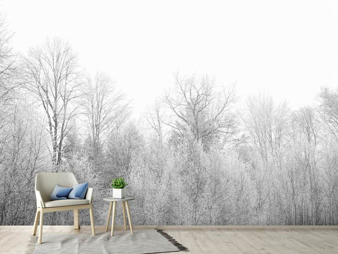 Fotobehang Berken bomen in de sneeuw