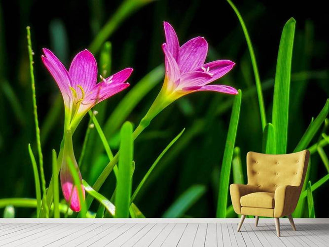 Fotobehang Bloemen in de natuur