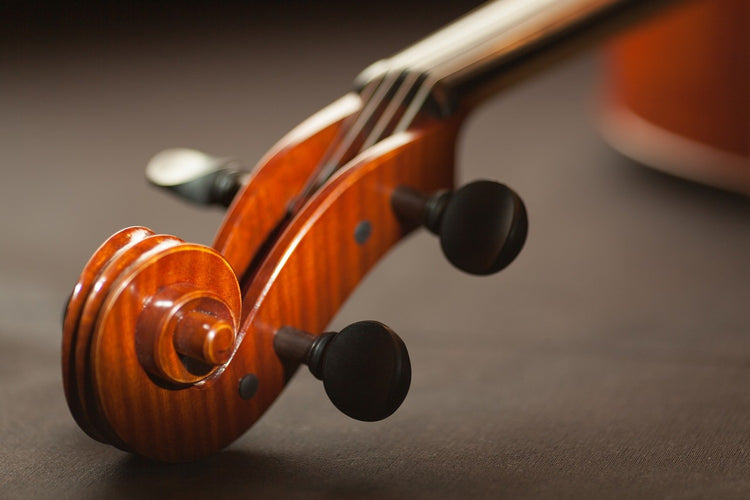 Fotobehang Close up violin