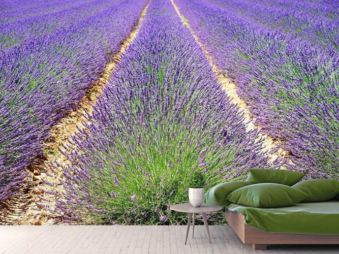 Fotobehang Het Lavendel Veld