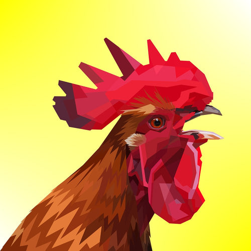 Fotobehang The rooster