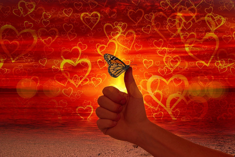 Fotobehang The butterfly and the love