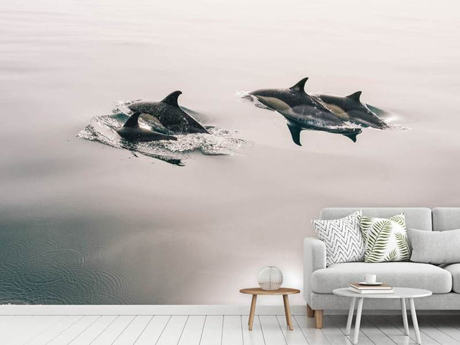 Fotobehang Dolfijnen