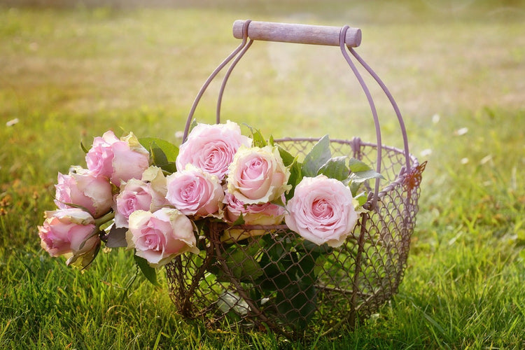 Fotobehang A basket full of roses