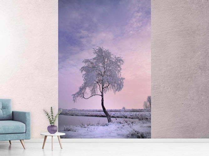 Fotobehang Winter boom