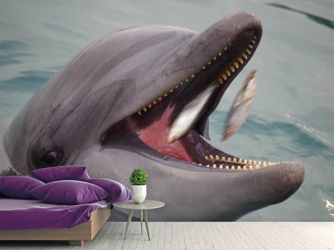 Fotobehang Dolfijn, etenstijd