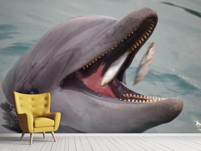 Fotobehang Dolfijn, etenstijd