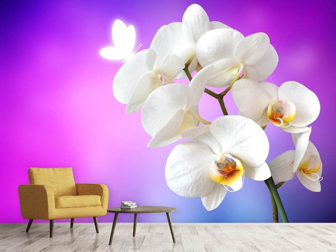 Fotobehang Flower Power Orchidee