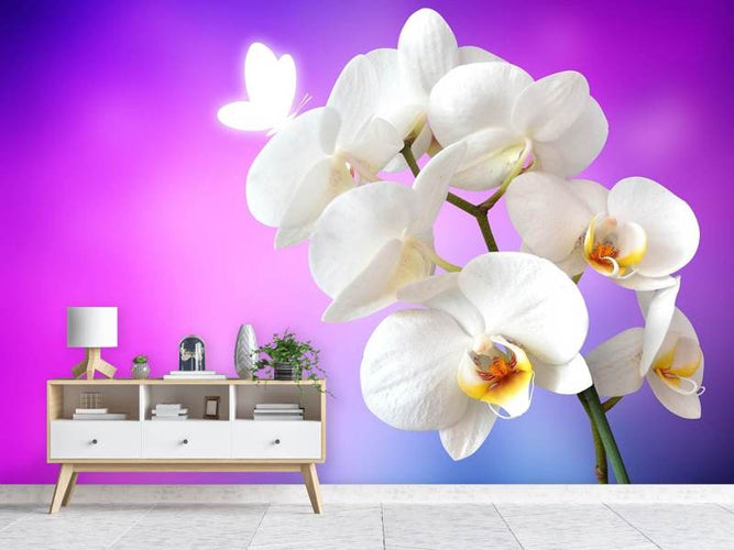 Fotobehang Flower Power Orchidee