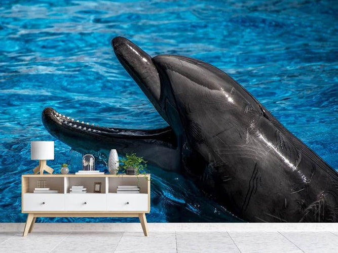 Fotobehang Vriendelijke dolfijn