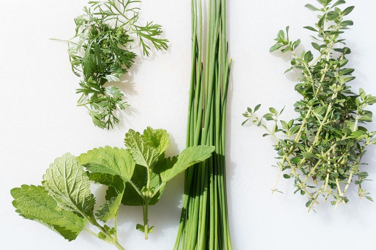 Fotobehang Fresh herbs