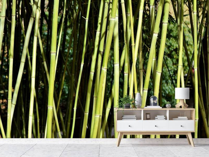 Fotobehang Vers bamboe