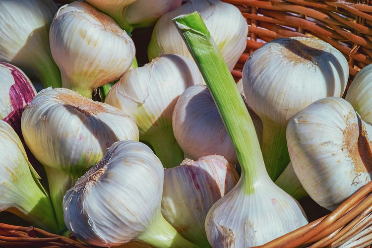 Fotobehang Fresh garlic