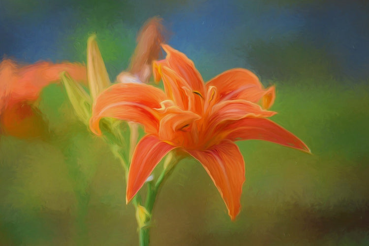 Fotobehang Painting of a lily