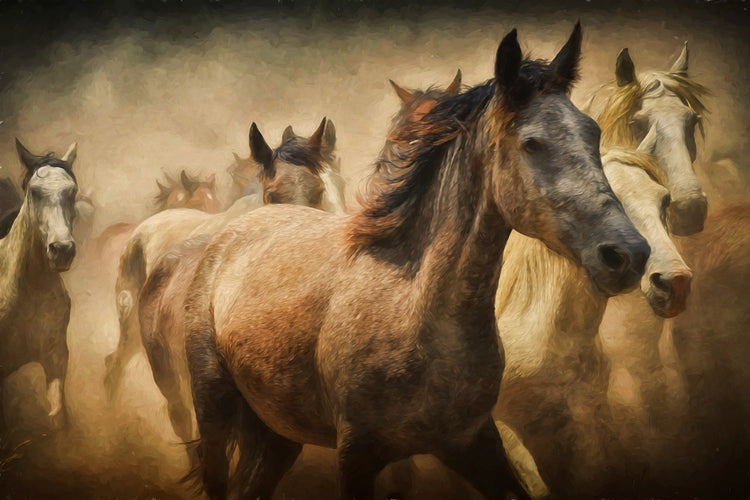 Fotobehang Painting wild horses