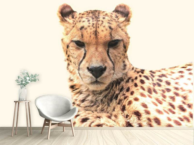 Fotobehang Cheetah in de zon