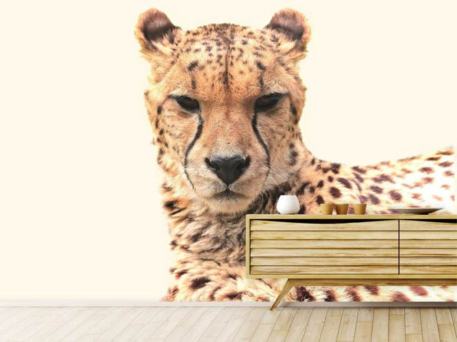 Fotobehang Cheetah in de zon