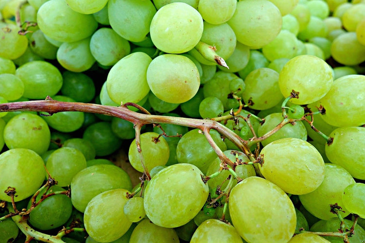 Fotobehang Green grapes