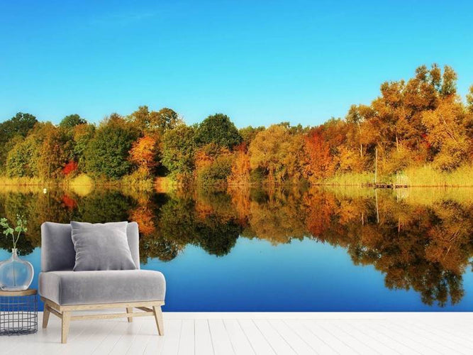 Fotobehang herfst reflecties, uitzicht op het bos