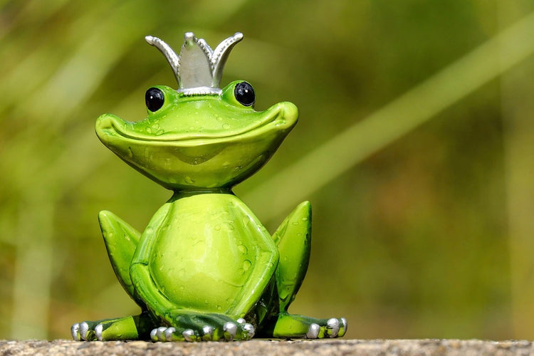 Fotobehang Mr. Frog King