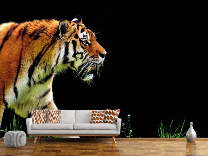 Fotobehang Imposante tijger