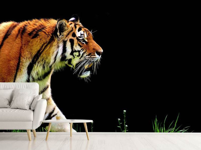 Fotobehang Imposante tijger